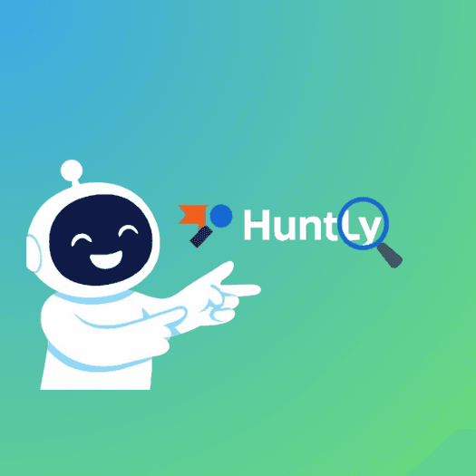 HuntLy - professional landing page